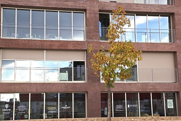 KWZ-Jungbusch1